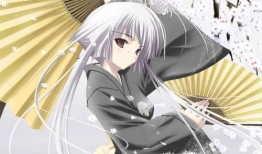 动漫人物,动漫人物传奇之旅